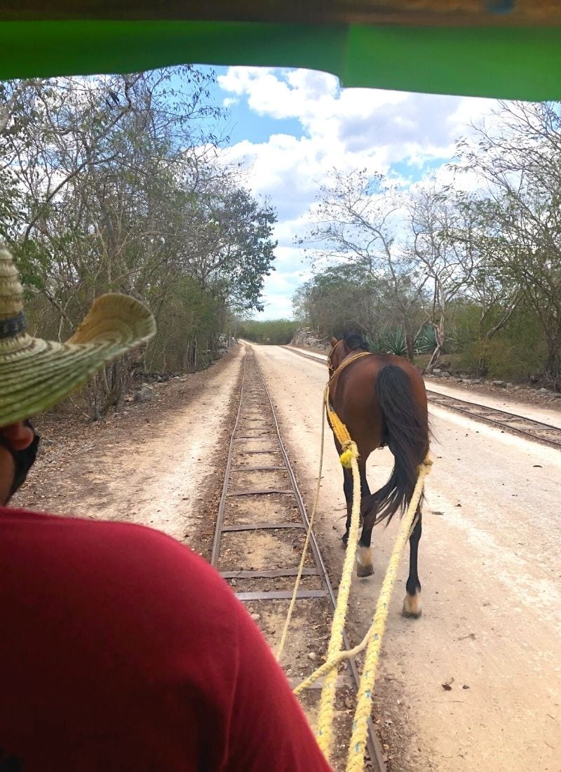 horse cart going to Cenote Santa Barbara
