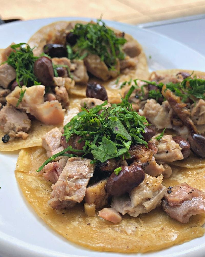 plate of tacos at Wayan'e Merida Mexico