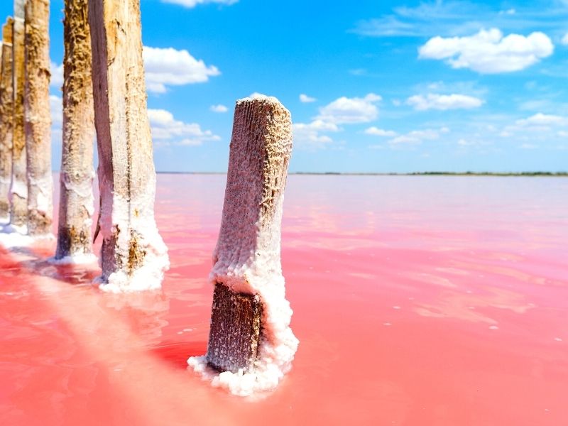 salt crystals collecting on a pole at a Las Coloradas pink lakes in Mexico