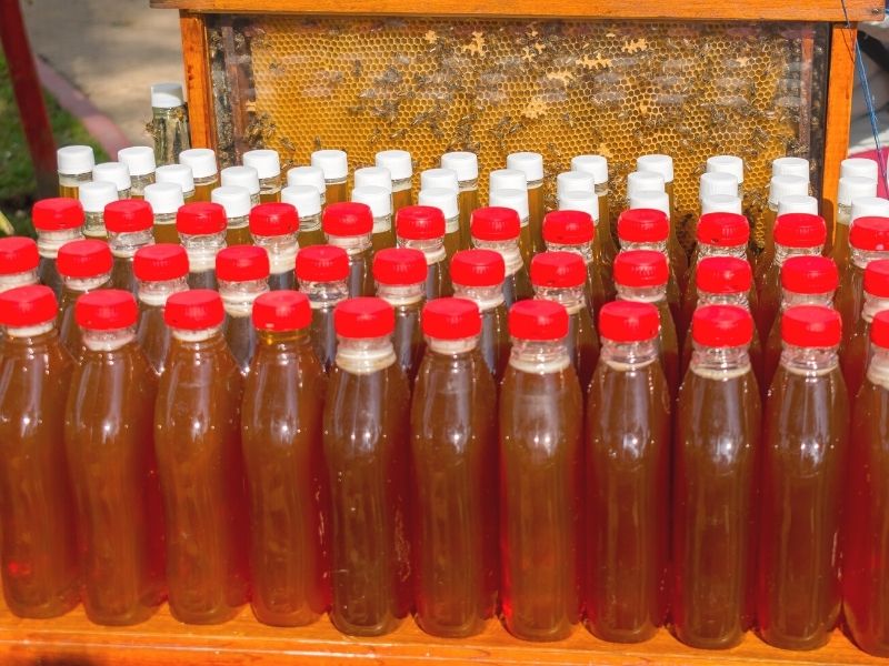 bottle of local mayan honey in merida yucatan mexico | what to buy in merida souvenirs