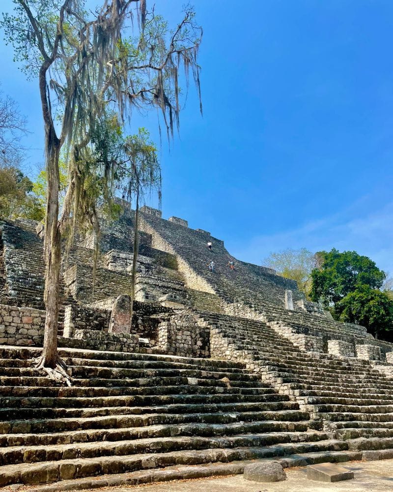 calakmul ruins campeche mexico yucatan peninsula ruins
