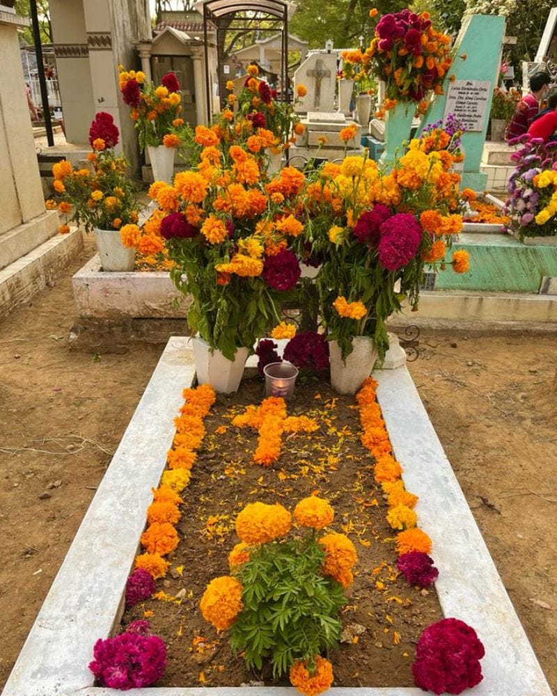 cemetery decorated for hanal pixan mexico